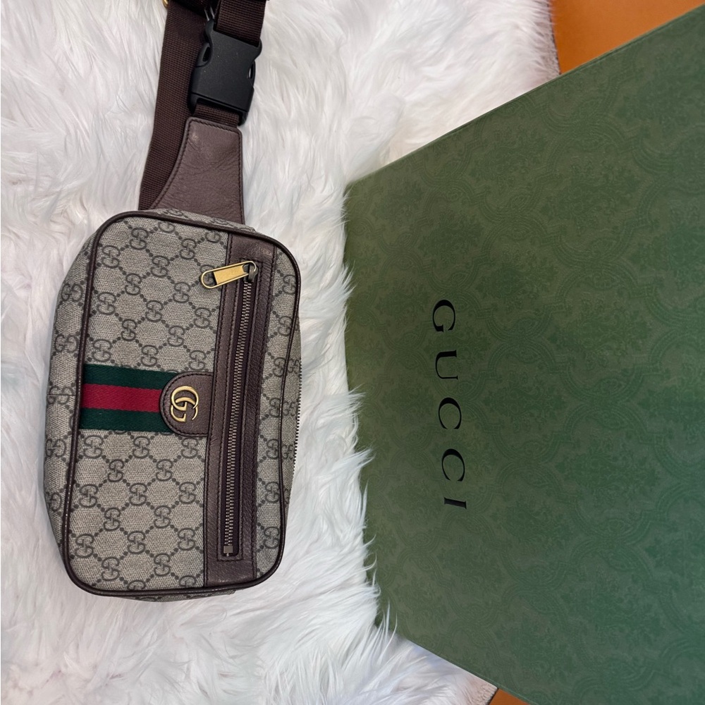 Gucci Crossbody Bag in Brown and Green